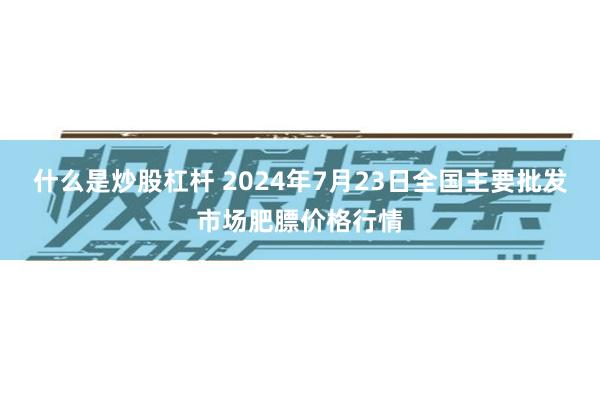 什么是炒股杠杆 2024年7月23日全国主要批发市场肥膘价格行情