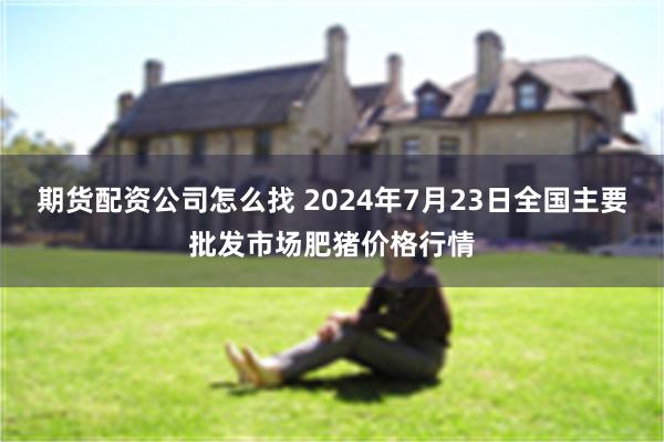 期货配资公司怎么找 2024年7月23日全国主要批发市场肥猪价格行情