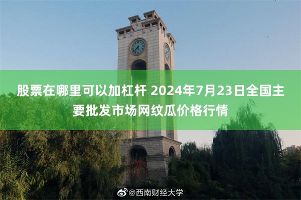 股票在哪里可以加杠杆 2024年7月23日全国主要批发市场网纹瓜价格行情