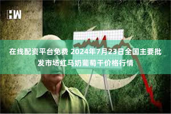 在线配资平台免费 2024年7月23日全国主要批发市场红马奶葡萄干价格行情