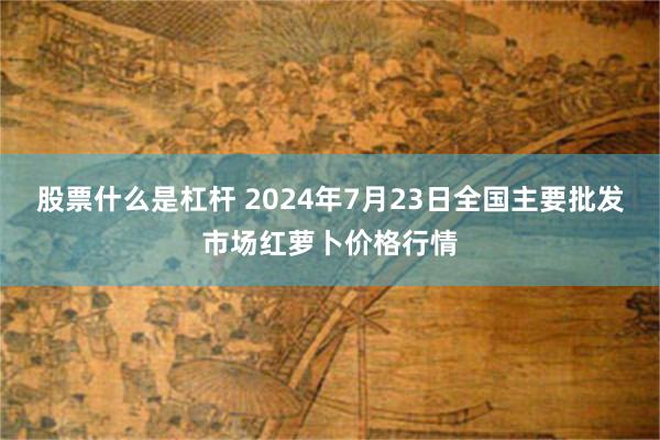 股票什么是杠杆 2024年7月23日全国主要批发市场红萝卜价格行情