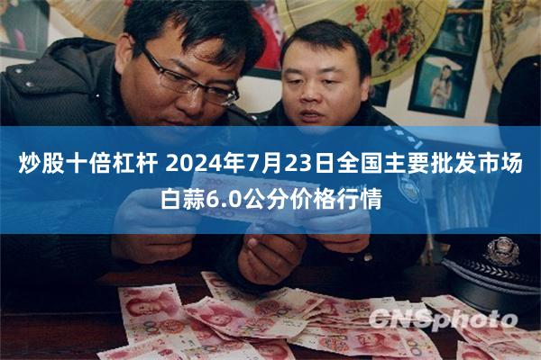 炒股十倍杠杆 2024年7月23日全国主要批发市场白蒜6.0公分价格行情