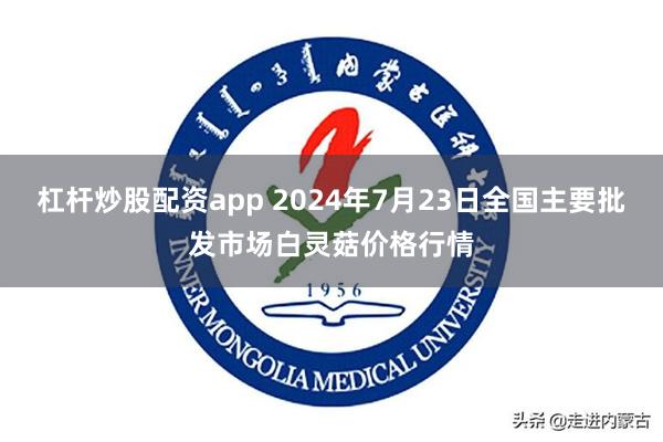 杠杆炒股配资app 2024年7月23日全国主要批发市场白灵菇价格行情