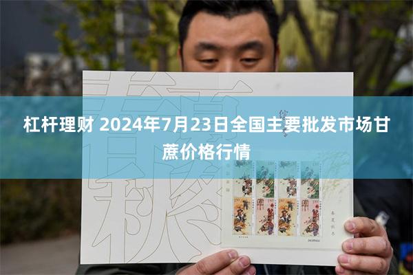 杠杆理财 2024年7月23日全国主要批发市场甘蔗价格行情