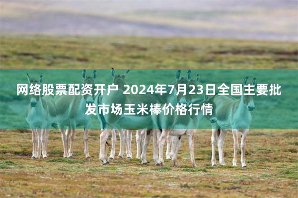 网络股票配资开户 2024年7月23日全国主要批发市场玉米棒价格行情