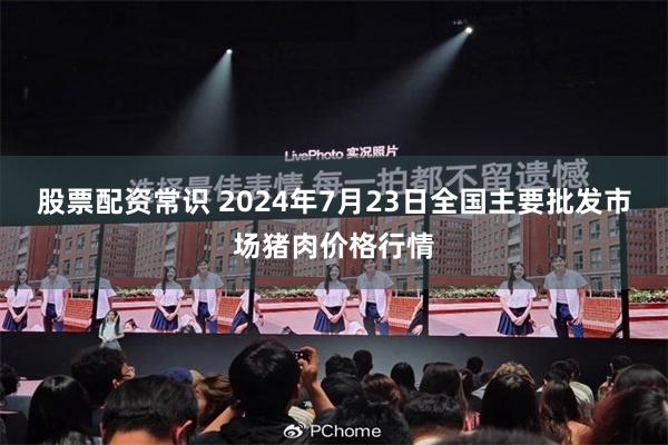 股票配资常识 2024年7月23日全国主要批发市场猪肉价格行情