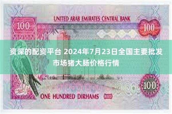 资深的配资平台 2024年7月23日全国主要批发市场猪大肠价格行情