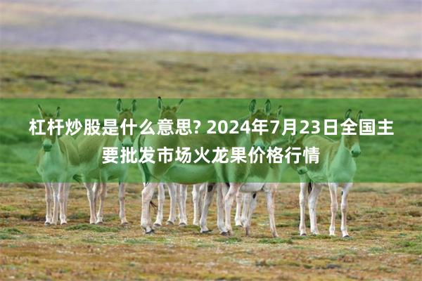 杠杆炒股是什么意思? 2024年7月23日全国主要批发市场火龙果价格行情