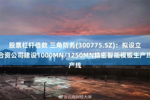 股票杠杆倍数 三角防务(300775.SZ)：拟设立合资公司建设1000MN/1250MN精密智能模锻生产线