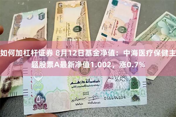 如何加杠杆证券 8月12日基金净值：中海医疗保健主题股票A最新净值1.002，涨0.7%