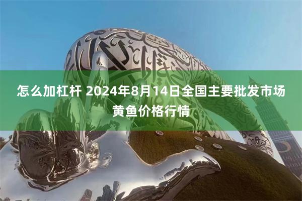 怎么加杠杆 2024年8月14日全国主要批发市场黄鱼价格行情