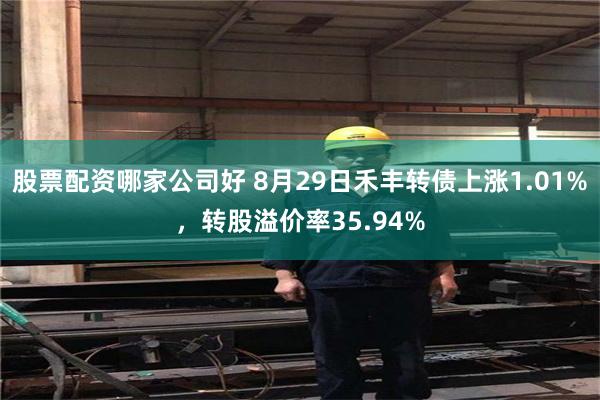 股票配资哪家公司好 8月29日禾丰转债上涨1.01%，转股溢价率35.94%