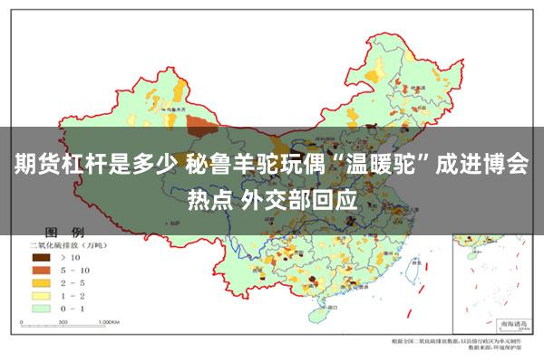 期货杠杆是多少 秘鲁羊驼玩偶“温暖驼”成进博会热点 外交部回应