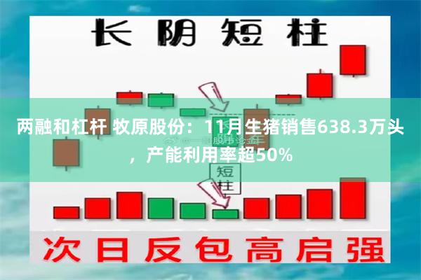 两融和杠杆 牧原股份：11月生猪销售638.3万头，产能利用率超50%