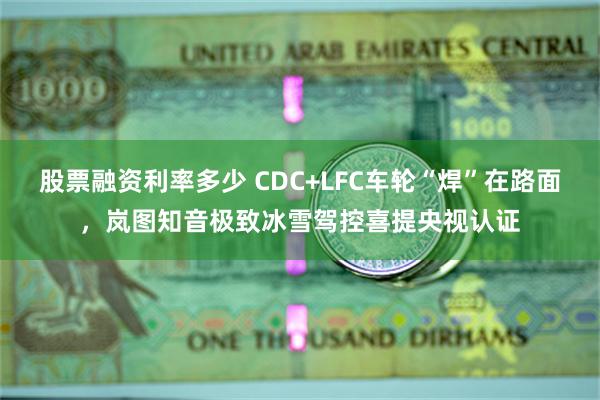 股票融资利率多少 CDC+LFC车轮“焊”在路面，岚图知音极致冰雪驾控喜提央视认证