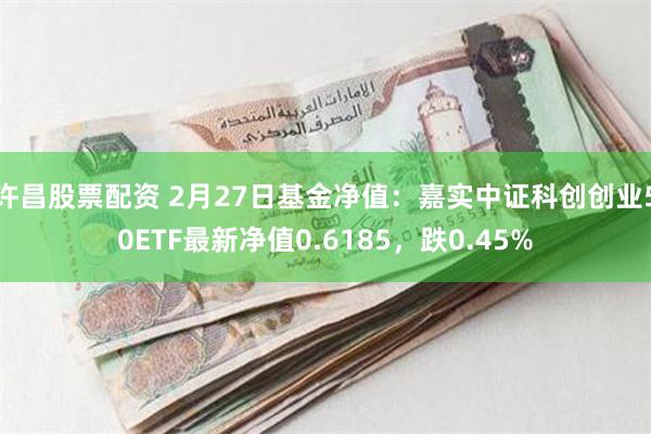 许昌股票配资 2月27日基金净值：嘉实中证科创创业50ETF最新净值0.6185，跌0.45%