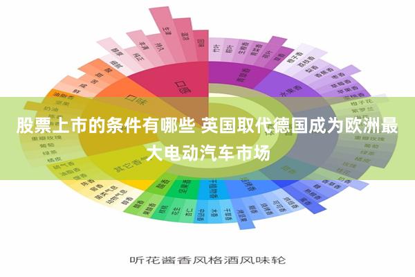 股票上市的条件有哪些 英国取代德国成为欧洲最大电动汽车市场